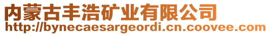 內(nèi)蒙古豐浩礦業(yè)有限公司