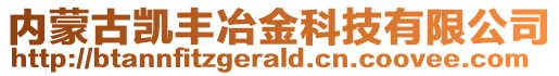 內蒙古凱豐冶金科技有限公司