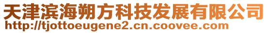 天津濱海朔方科技發(fā)展有限公司