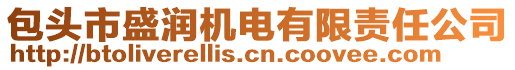 包頭市盛潤機電有限責任公司