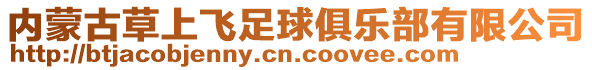 內(nèi)蒙古草上飛足球俱樂部有限公司