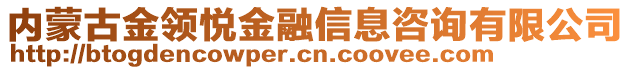內(nèi)蒙古金領(lǐng)悅金融信息咨詢有限公司