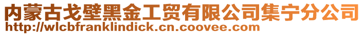 內(nèi)蒙古戈壁黑金工貿(mào)有限公司集寧分公司