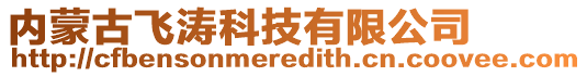 内蒙古飞涛科技有限公司