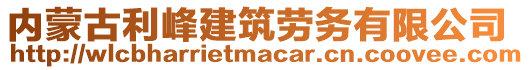 內(nèi)蒙古利峰建筑勞務(wù)有限公司