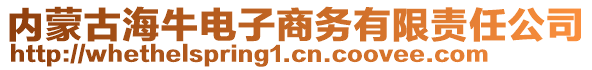 內(nèi)蒙古海牛電子商務(wù)有限責(zé)任公司