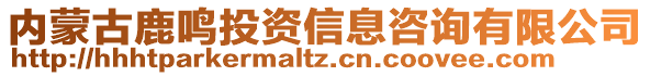 內(nèi)蒙古鹿鳴投資信息咨詢有限公司