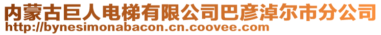 內(nèi)蒙古巨人電梯有限公司巴彥淖爾市分公司