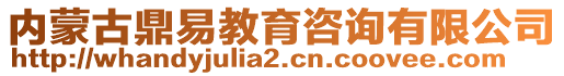 內蒙古鼎易教育咨詢有限公司