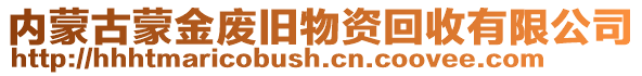 内蒙古蒙金废旧物资回收有限公司