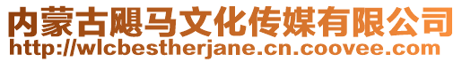 內(nèi)蒙古颶馬文化傳媒有限公司