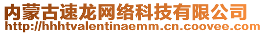 內(nèi)蒙古速龍網(wǎng)絡(luò)科技有限公司