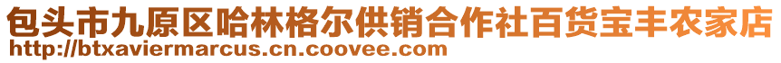 包頭市九原區(qū)哈林格爾供銷合作社百貨寶豐農(nóng)家店