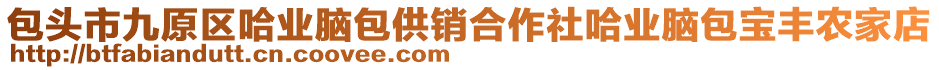 包頭市九原區(qū)哈業(yè)腦包供銷合作社哈業(yè)腦包寶豐農(nóng)家店