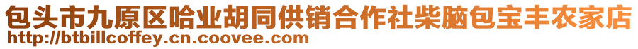 包頭市九原區(qū)哈業(yè)胡同供銷合作社柴腦包寶豐農(nóng)家店