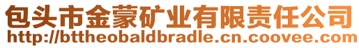 包頭市金蒙礦業(yè)有限責任公司