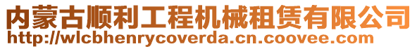 內(nèi)蒙古順利工程機(jī)械租賃有限公司