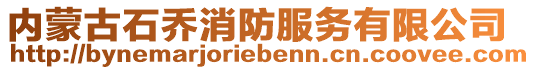 內(nèi)蒙古石喬消防服務(wù)有限公司