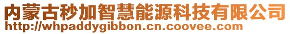 內(nèi)蒙古秒加智慧能源科技有限公司