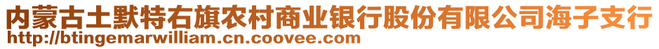 內(nèi)蒙古土默特右旗農(nóng)村商業(yè)銀行股份有限公司海子支行