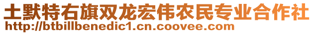 土默特右旗雙龍宏偉農民專業合作社