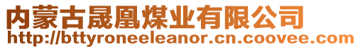 內(nèi)蒙古晟凰煤業(yè)有限公司