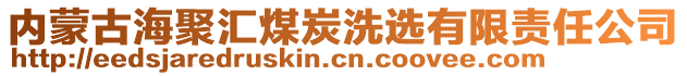 內(nèi)蒙古海聚匯煤炭洗選有限責(zé)任公司