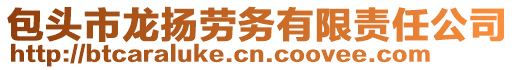 包頭市龍揚(yáng)勞務(wù)有限責(zé)任公司