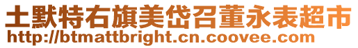 土默特右旗美岱召董永表超市