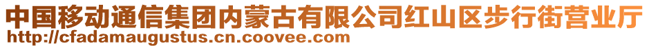 中国移动通信集团内蒙古有限公司红山区步行街营业厅