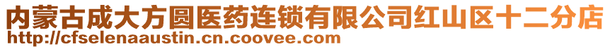 內蒙古成大方圓醫藥連鎖有限公司紅山區十二分店