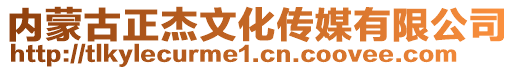 內(nèi)蒙古正杰文化傳媒有限公司