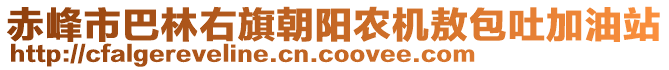 赤峰市巴林右旗朝陽(yáng)農(nóng)機(jī)敖包吐加油站