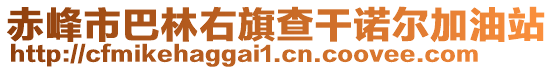 赤峰市巴林右旗查干諾爾加油站