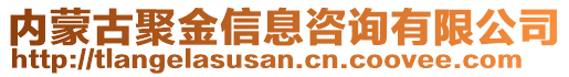 內(nèi)蒙古聚金信息咨詢有限公司