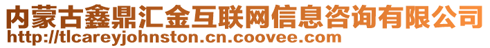 內(nèi)蒙古鑫鼎匯金互聯(lián)網(wǎng)信息咨詢有限公司