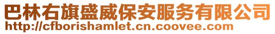 巴林右旗盛威保安服務有限公司