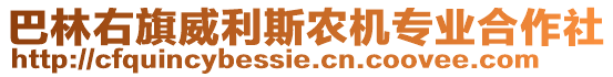 巴林右旗威利斯農(nóng)機(jī)專(zhuān)業(yè)合作社