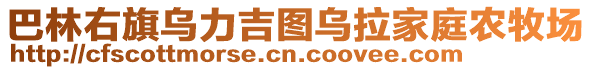 巴林右旗烏力吉圖烏拉家庭農(nóng)牧場