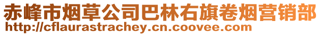 赤峰市烟草公司巴林右旗卷烟营销部