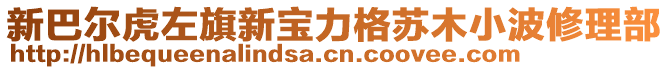 新巴爾虎左旗新寶力格蘇木小波修理部