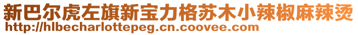 新巴尔虎左旗新宝力格苏木小辣椒麻辣烫