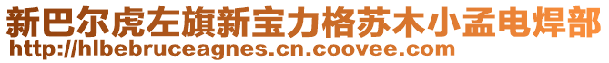 新巴尔虎左旗新宝力格苏木小孟电焊部