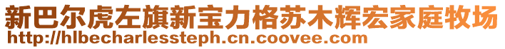 新巴尔虎左旗新宝力格苏木辉宏家庭牧场