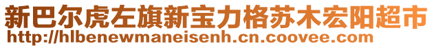 新巴爾虎左旗新寶力格蘇木宏陽超市