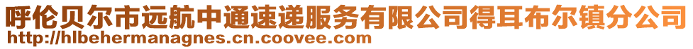 呼倫貝爾市遠航中通速遞服務(wù)有限公司得耳布爾鎮(zhèn)分公司