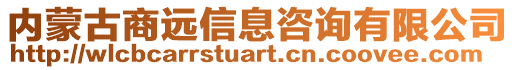 內(nèi)蒙古商遠(yuǎn)信息咨詢有限公司