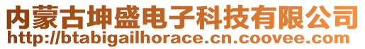 內(nèi)蒙古坤盛電子科技有限公司