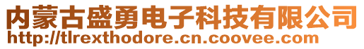 內(nèi)蒙古盛勇電子科技有限公司