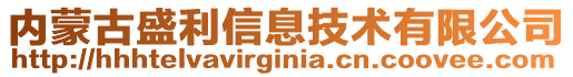 内蒙古盛利信息技术有限公司